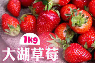 【苗栗大湖草莓】果粒漂亮飽滿,果肉香甜汁多味美,濃郁的香氣瀰漫空氣中,令人再三吮指回味,盡享大地給予的鮮甜~男女老幼都難以抗拒它的魅力!