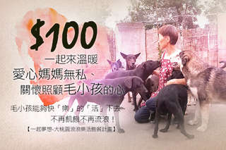100元!一起來溫暖愛心媽媽無私、關懷照顧毛小孩的心【一起夢想-大桃園浪浪樂活飽餐計畫】讓毛小孩能夠快「樂」的「活」下去,不再飢餓不再流浪!