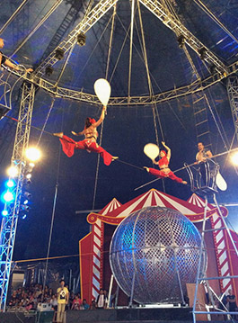 全台湾最盛大的欧洲大马戏团嘉年华即将重现北台湾;含括空中飞人