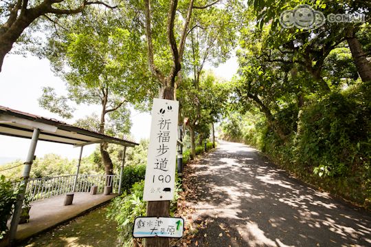 教育生态区有著远,中,短程三式森林步道,沿著原始地形设置解说牌及