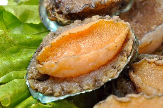 海鲜大餐_海鲜干货_海鲜鲍鱼粥(2)