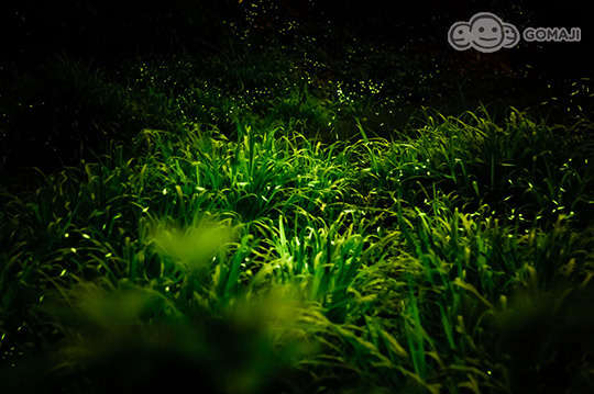 115224_5_r.jpg?1459872140