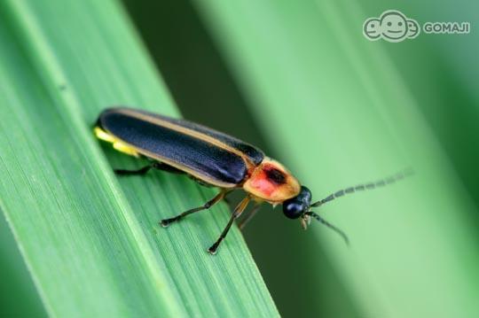 只要2699元,即可享有原价5650元【新竹-石上汤屋渡假