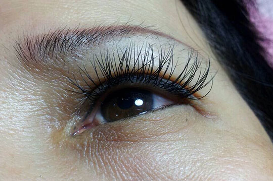 蚕丝蛋白毛上睫毛嫁接120~150根