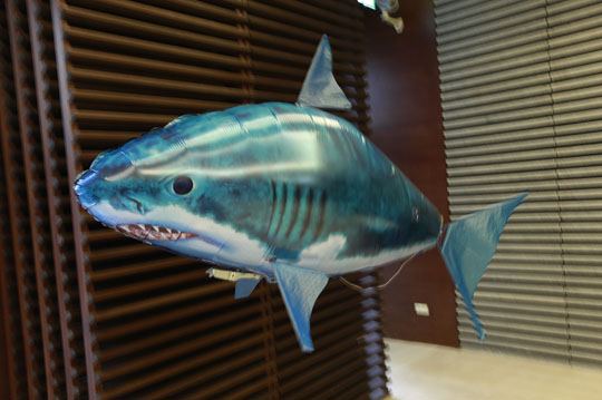 原价599元,flying fish遥控红外线飞天鲨鱼/飞天小丑鱼一入-gomaji 够