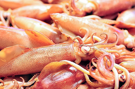 只要118元起(满五份免运费),即可享有【海鲜一番】台湾澎湖野生熟冻小