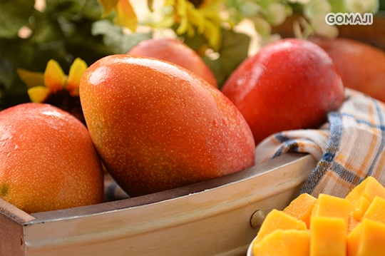 只要699元起,即可享有外销日本等级吉园圃认证屏东爱文芒果五斤装/10