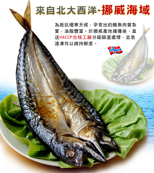 麻吉 - 只要139元起(满三份免运费),即可享有【海之醇】xxl挪威鲭鱼