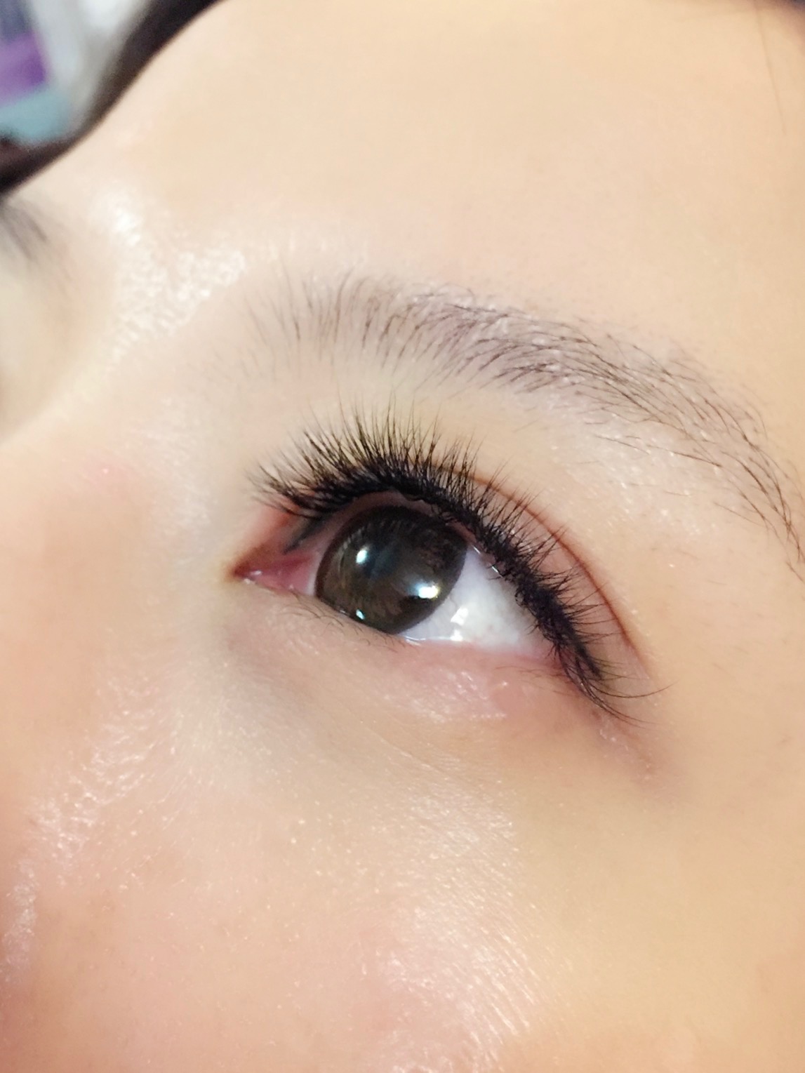 3d浓密大眼根接根不限根数韩国御用皇家毛睫毛嫁接 / c.