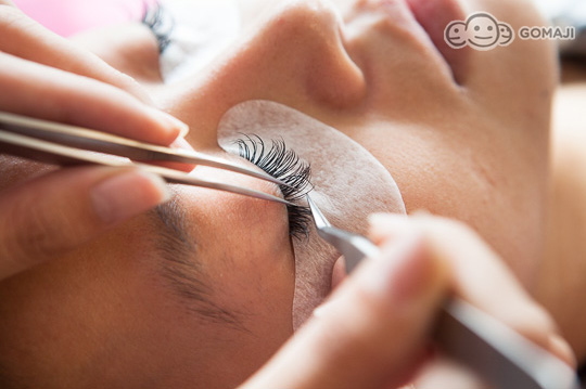 2015不能没有山茶花上睫毛山茶花嫁接300根 / c.3d电眼魅眼