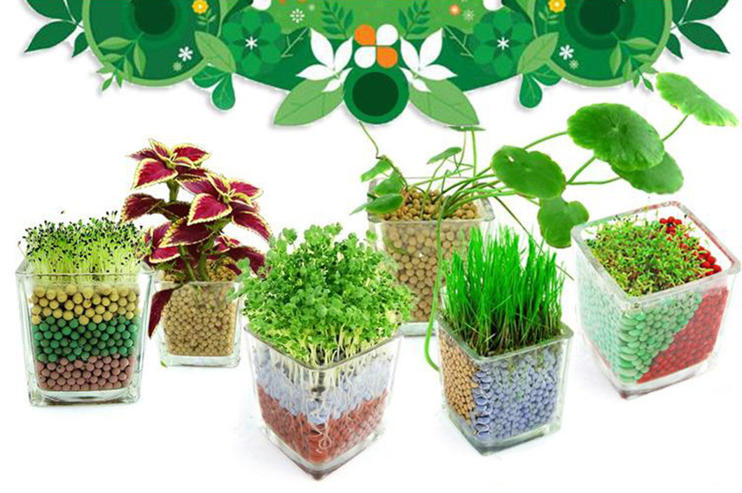 种菜养花陶冶性情,共有岩石草/情思草/铜钱草/彩叶草/心情草/爱情草等